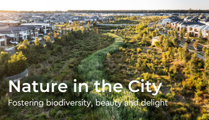 WEBINAR: Nature in the City - Fostering Biodiversity