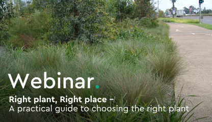 WEBINAR: Right plant, right place with Ozbreed