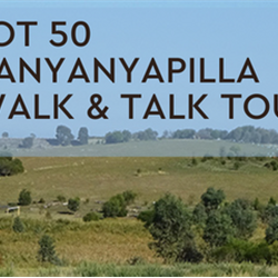 SA Lot 50 Kanyanyapilla  WALK and TALK Tour